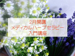 ハーブ入門２月