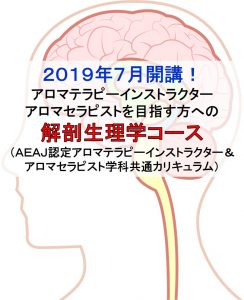 解剖生理学201907