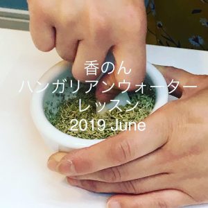 ハンガリアンウォーターレポ201901