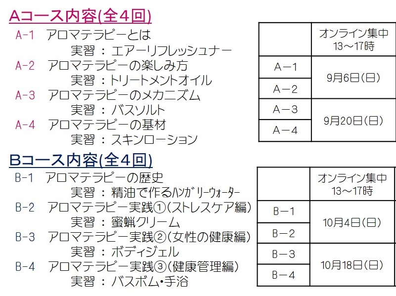 ベーシックオンライン202009