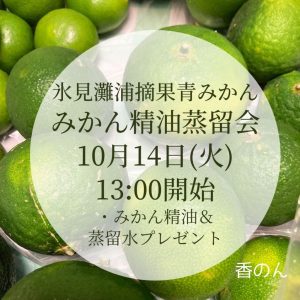 青みかん2025