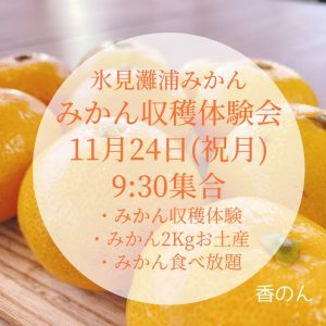 みかん収穫体験2025