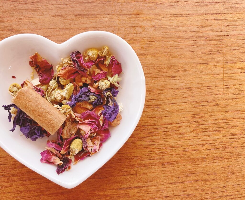 ウィンターガーデン2026